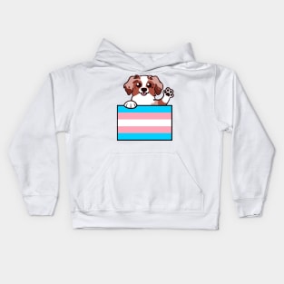 Love is Love Puppy - Red Merle Trans Pride Flag Kids Hoodie